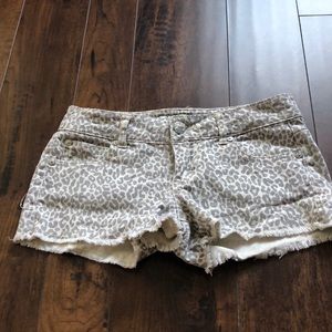 Celebrity Pink cheetah shorts